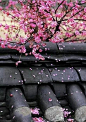 一夜溪停雨，花落间谁知 ​​​​