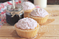 Black currant cupcakes with coconut frosting (by anna kurzaeva) #赏味期限#
