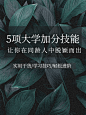 实景背景简约文艺清新知识博主小红书配图