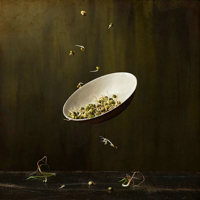 Dombrecht Wesley作品 -...