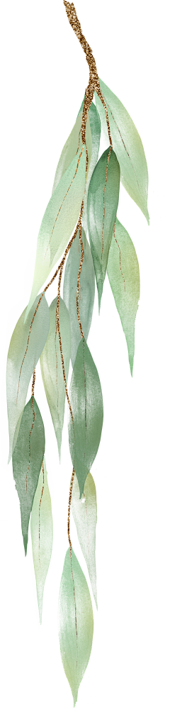 用户6J9zsLQ3采集到水彩植物