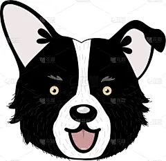 可爱的,狗,活力,纯种犬,简单背景,好奇心,哺乳纲,动物,面部表情,爱