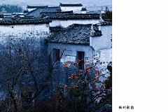 罗什佛桑采集到场景（摄）