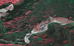 杨曦翰采集到seriesC4D