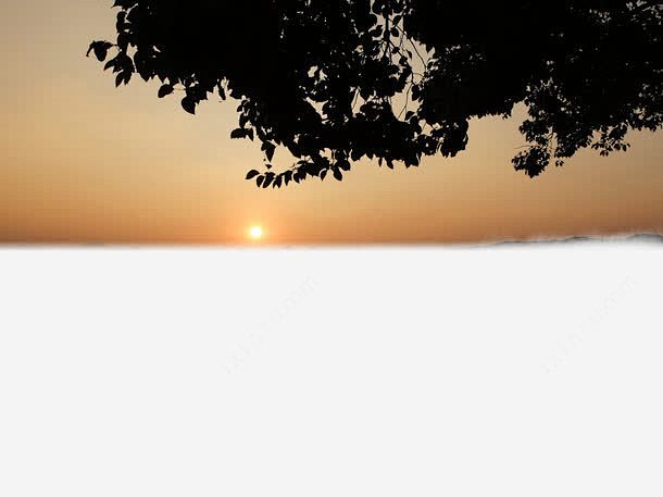 夕阳树影高清素材 免抠 设计图片 免费下...