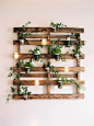24 Indoor Gardening Ideas You Don't Want To Miss : In this article we provide a list of the best indoor gardening ideas that are easy to do and does not cost much. Besides they extremely decoratives ideas.