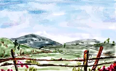 仰望天空的鱼  的插画 栅栏