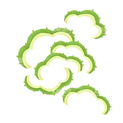 苦瓜片插画  - 源文件下载【酷图网】苦瓜,手绘,蔬菜,凉瓜,插画,苦瓜手绘,收获的季节,果实,苦瓜插画,苦瓜包装盒,苦瓜插画设计