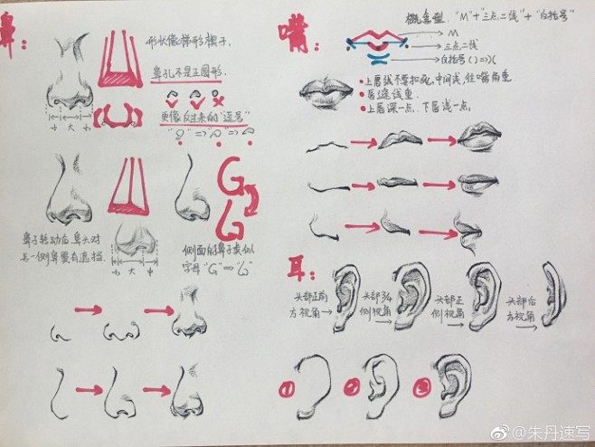 头部讲解   （作者： 朱丹速写 ​） ...