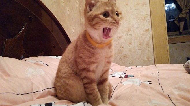 哇……惊呆了⊙∀⊙！