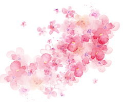 搞事大魔王丶采集到花