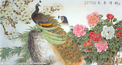 白槎呀采集到唯有牡丹真国色，花开时节动京城