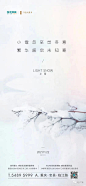 小雪