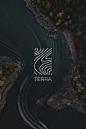Terra logo design. Honoring our beautiful earth.  #earth #logo #design #tinaperkodesign #branding