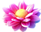 菜花