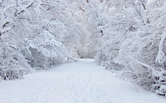 Alonei采集到雪景