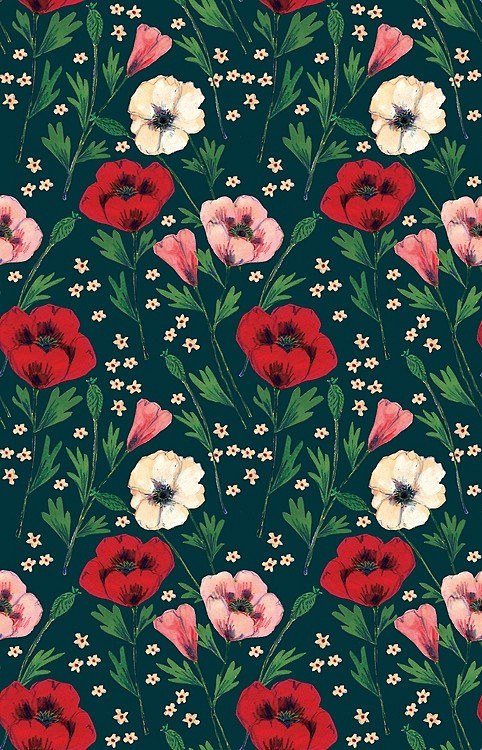 Phoebe Wahl.