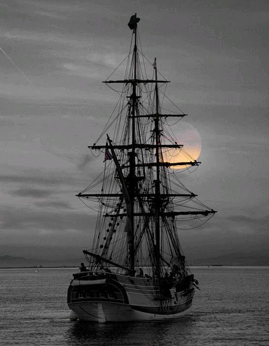 beautymothernature:
...