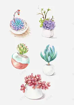 手绘多肉盆栽 免抠png 设计图片 免费下载 页面网页 平面电商 创意素材