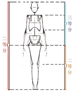 九恒采集到人体结构