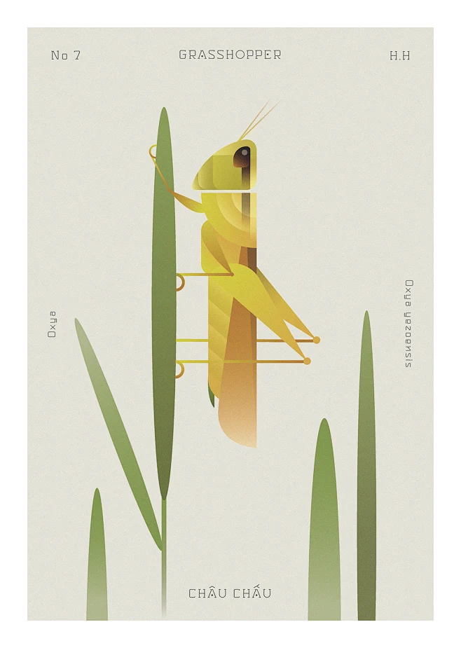 THE INSECT WORLD COLLECTION-花瓣网