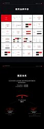 Turing vis 公司 升级 图灵 形象设计 规范 视觉 设计