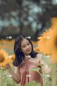 女士 时尚 向日葵 美丽 美丽的 漂亮 女孩 花壁纸 花卉背景