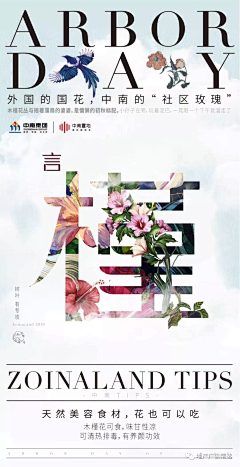 韦德11采集到创意海报