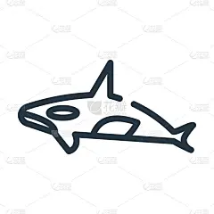 虎鲸细线图标。动物，海洋线性图标，从海洋生物设置概念孤立的轮廓标志。矢量插图符号元素的网页设计和应用
