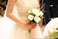 白色的花 自然 新娘 花壁纸 婚礼 新娘花束 美丽的花朵 美丽的