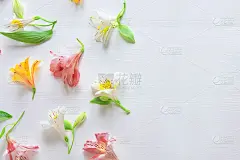 插花贺卡的框架。木制背景上有天然星形花的横幅。文字框架与星形花。平躺，俯视图。