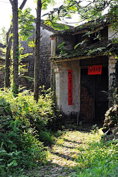 阡陌凝烟采集到❀古意❀