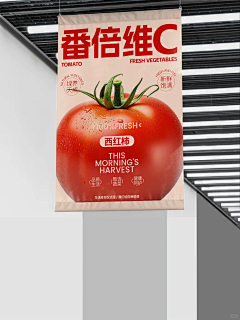 讨厌洋葱_n采集到海报