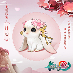 肥美小鹿采集到兔子
