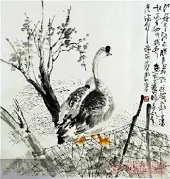 国画家禽百图欣赏 ——《鹅》
