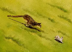 出版社签约插画作品