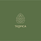 英文LOGO-TROPICA-叶子logo-线构成-极简logo-精致logo-上下排列