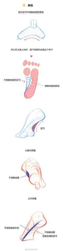 兮西jiayou采集到教程