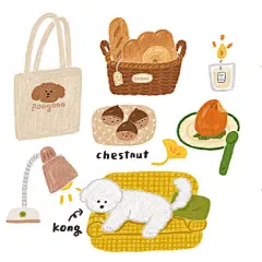 艺术家分享✨——彩铅风格的小物插画 - 小红书