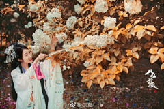 荠苨花采集到汉服