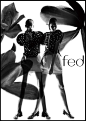 Fed 2011 A/W