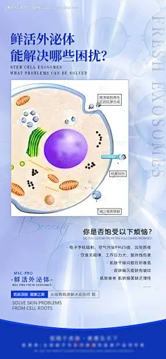 源文件下载【轻医美外秘体产品海报】编号：48150025638269233