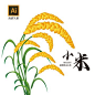 小米插画