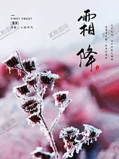 霜降 【酷图网】霜降,地产海报,朋友圈问侯,霜降地产海报,节气霜降,霜降节气,霜降朋友圈,霜降问侯,霜降海报,霜降节气海报,霜降节气问候,霜降节气广告,霜降节气设计,霜降朋友圈图,霜降广告设计,霜降问候设计,霜降问候广告,霜降节气图,中国传统节气,传统节气霜降,霜降宣传海报,霜降宣传广告,
