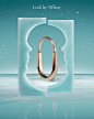 Tiffany & Co. | Holiday Icons :: Behance