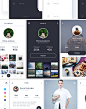 Lynx UI Kit : Available to download in Envato Elementshttps://elements.envato.com/items/type/graphics/lynx-ui-kit-BH3ZH7and UI8https://ui8.net/products/lynx