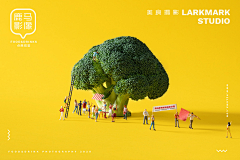 南希儿采集到食品拍摄参考