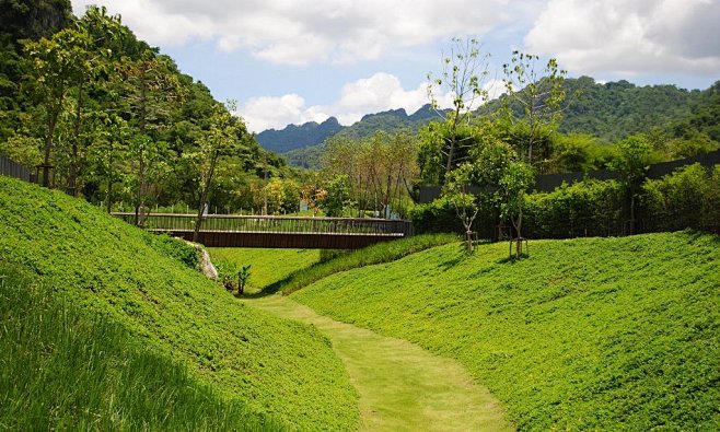 景观草坡及景观平桥