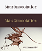 Max Chocolatier品牌VI设计