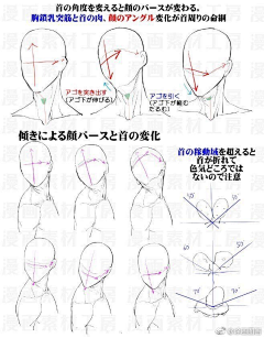 萌控の天龙采集到人体